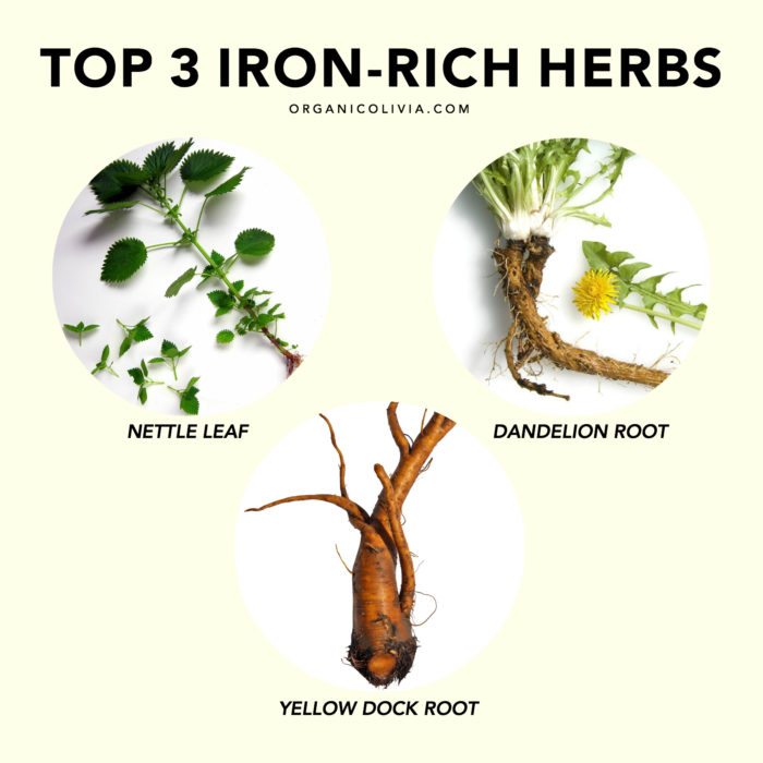 Top 3 IronRich Herbs (great for hair loss & fatigue) Organic Olivia