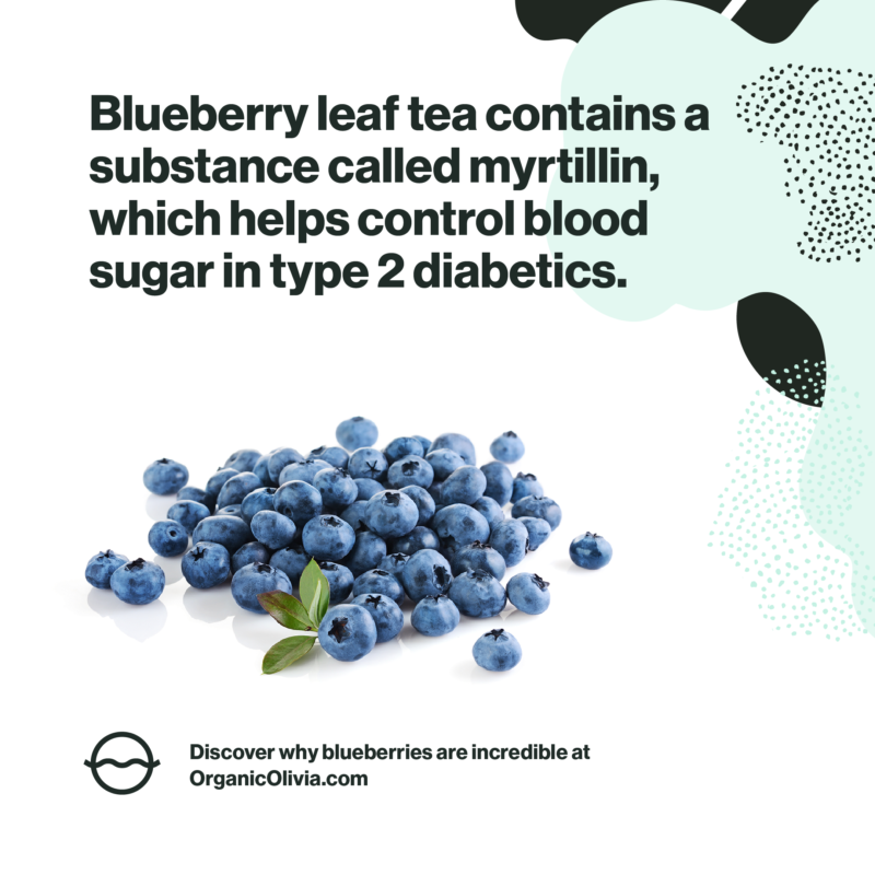 Why Blueberry Leaf is an Underappreciated SuperHerb for Blood Sugar
