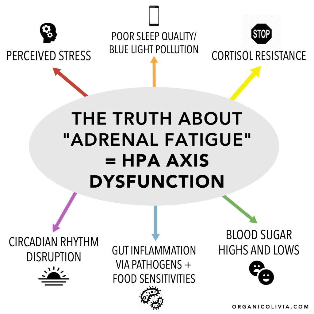 The Truth About Adrenal Fatigue Root Causes Explained Organic Olivia » Organic Olivia